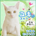お腹のチャックが萌えポイント♪ユキくん3ヶ月☆ 