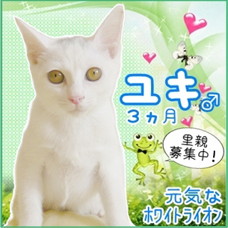 お腹のチャックが萌えポイント♪ユキくん3ヶ月☆ 