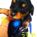 元気な赤ちゃん生まれました♪