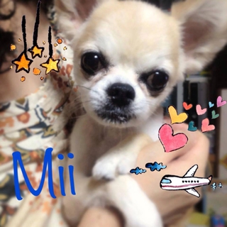 生涯、寄り添ってくれる家族を募集します♡
