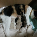 雑種ですが、よろしくお願いします。