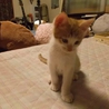 ありがとうございました サムネイル5