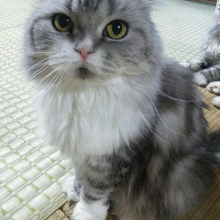 とても人慣れしていて可愛いこたちばかりです！