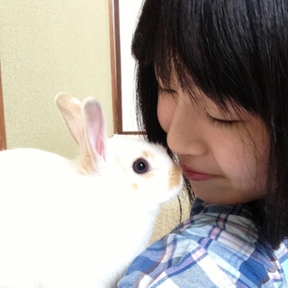 ミニうさぎ 生後5ヶ月 人にとても懐いています