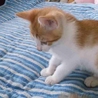 ありがとうございました サムネイル4