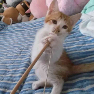 ありがとうございました