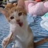 ありがとうございました サムネイル2