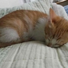 ありがとうございました サムネイル6