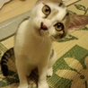 かわいい子です♪ サムネイル4