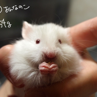 里親様決まりました。ありがとうございます。