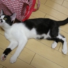 仲良し★アズキとブンタ サムネイル4