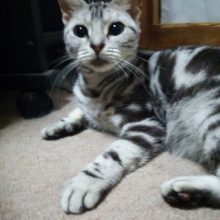 どっしり構えて待ってます。