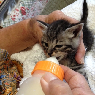 生まれたての赤ちゃんです！