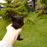 里親決まりました！ サムネイル3