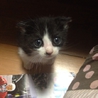 お願いします!!! サムネイル4
