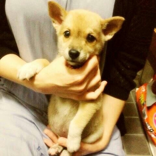 幸せに出会えました