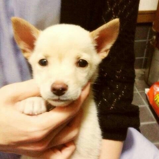 ありがとうございました