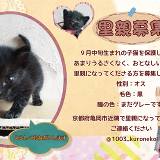 里親さん決まりました。ありがとうございました！