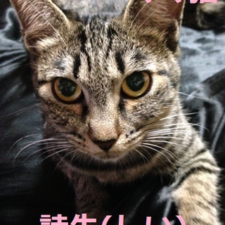 新しい飼い主さんが決まりました。