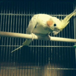 多くの里親希望に感謝です！