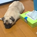 沢山のご連絡ありがとうございました。