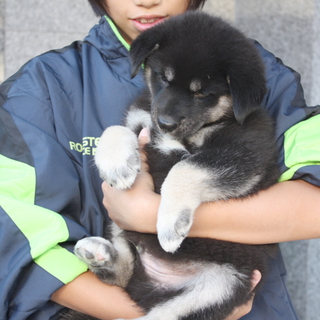 19日豊中市保健所での譲渡会に参加！