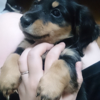 赤ちゃん生まれました★