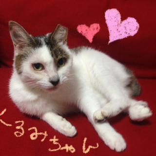 甘えん坊好きにはたまらない！