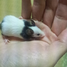 ありがとうございました サムネイル5