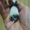 ありがとうございました サムネイル3