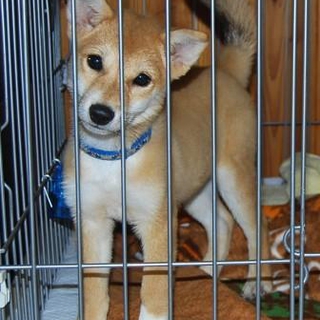 たくさんのご応募ありがとうございました
