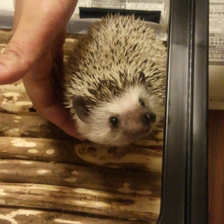 たくさんの応募ありがとうございました＊。