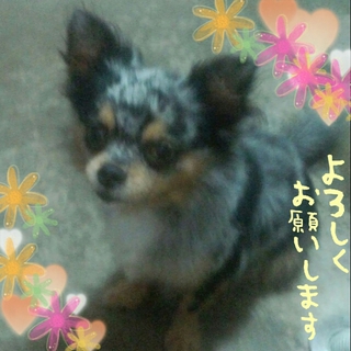 ご応募頂いた皆様ありがとうございました。