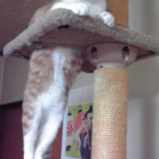 優しいおじさん