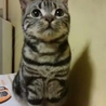 陽気で元気いっぱい☆バロン サムネイル2