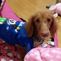 甘えん坊の男の子