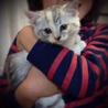 中長毛のフワフワな姉妹です サムネイル3