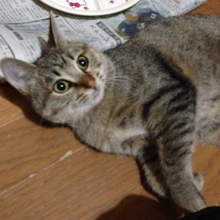 人懐こいです！