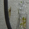 募集一時停止 サムネイル2
