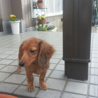 ありがとうございました。