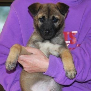 お問い合わせをいただきました