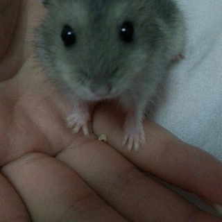 ご応募、有難うございました。