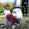 ♪愛らしくてマイペースな　ガクト君♪ サムネイル7