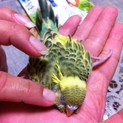 心優しい方お願いします。。