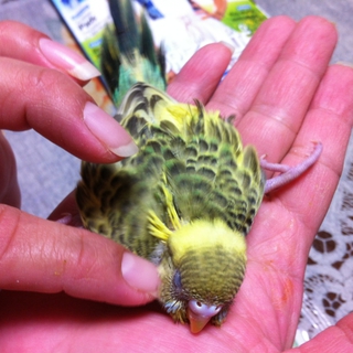 心優しい方お願いします。。