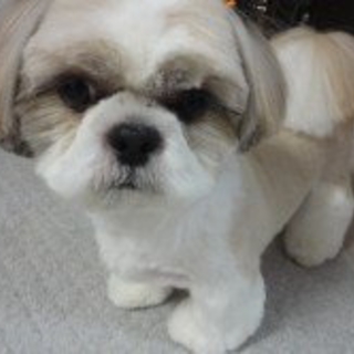 アースちゃん♂ ご家族募集中！