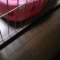 ﾊｰﾌ仔猫(ｱﾒﾘｶﾝｶｰﾙとﾏﾝﾁｶﾝ)