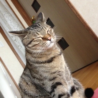 可愛がってくださる方