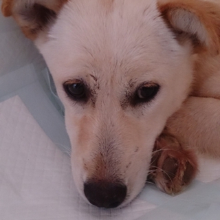 幸せ切符掴めました～‼️