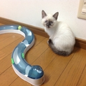 沢山のお問い合わせありがとうございました。感謝！